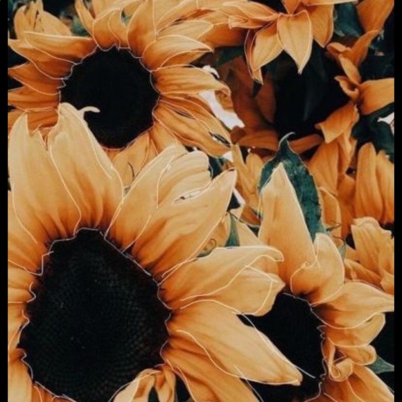 Meet your Posher, Addysom - Picture 1 of 1